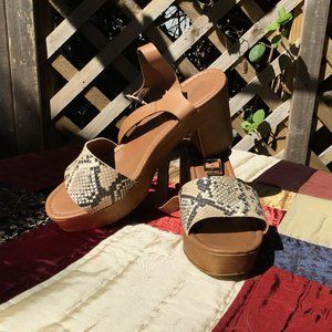 Seychelles Jump for Joy Wood Clog Snake Print 11 Sandal